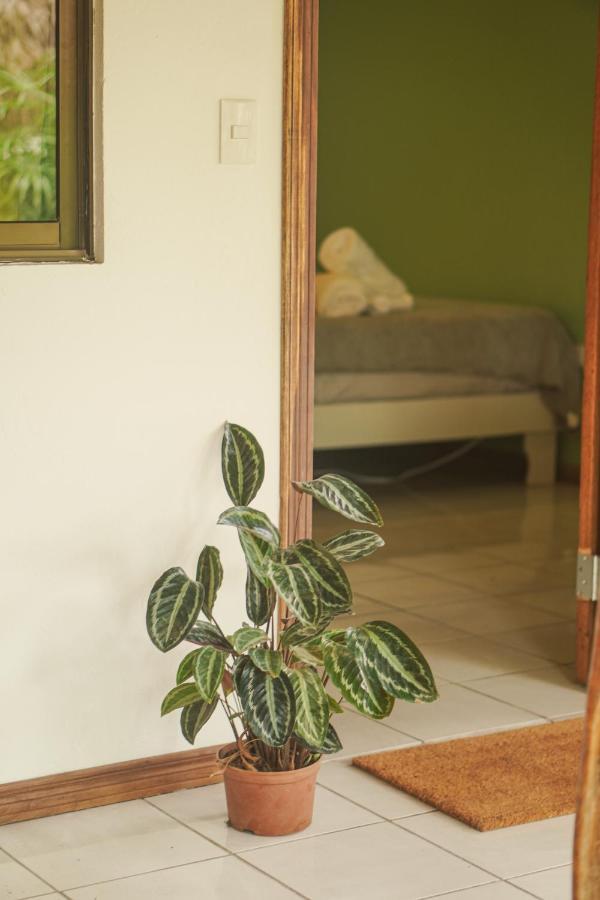 Gala Apts Playa Santa Teresa  Exteriör bild